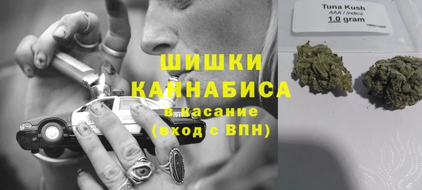 ПСИЛОЦИБИНОВЫЕ ГРИБЫ Беломорск
