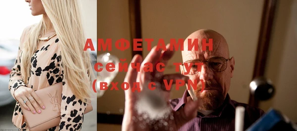 твердый Богданович