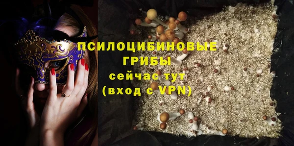 твердый Богданович